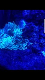 Screenshot_20180611-125949.jpg