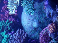 20170711_131027.jpg