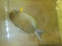 20171120_133513.jpg