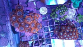 20170911_154351.jpg