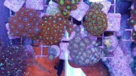 20170911_154335.jpg