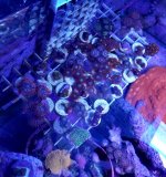 20180302_163454.jpg