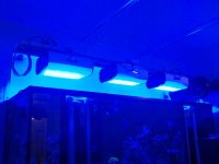 Reeftech Lights 1.jpg