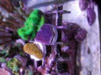 20171130_120255.jpg