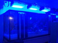 Reeftech Lights 2.jpg