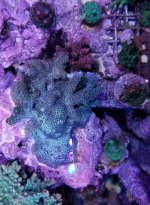 20171021_183329.jpg