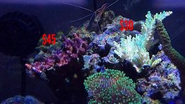 2017-09-27_21.26.30.jpg