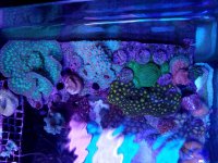 20170922_183959.jpg