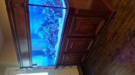 20180313_160744.jpg