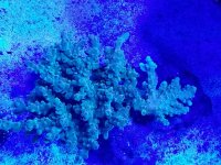 20170712_184918.jpg