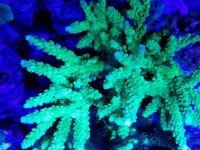 20170712_184844.jpg