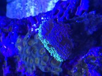 IMG_0328.jpg