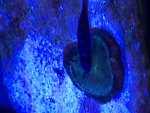 IMG_0339.jpg