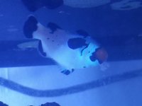 20180612_115425.jpg