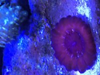 IMG_0340.jpg