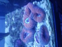 20180612_115140.jpg