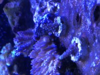 0FA8B7E7-5025-4501-9C2B-ED368A9A5F44.jpg