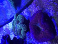 IMG_0341.jpg