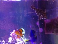 IMG_20170927_202732.jpg