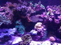 IMG_20170927_202724.jpg