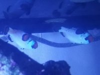 20180612_115449.jpg