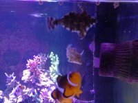 IMG_20170927_202659.jpg