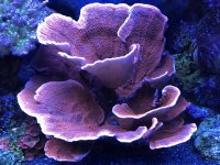 D179CB60-56AD-4491-89E2-75EBAFC4C5E6.jpg