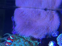 IMG_1456.jpg
