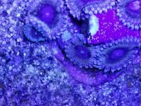20170713_133150.jpg