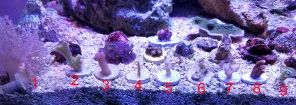 20161217_180321.jpg