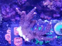 20170713_141615.jpg