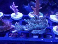 20170713_141559.jpg