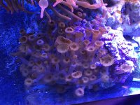 IMG_1453.jpg