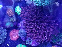 20170713_141519.jpg