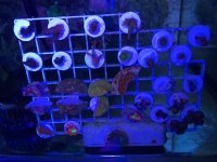IMG_7906.jpg