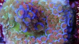 IMG_20180612_230435_311.jpg
