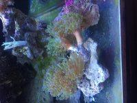 IMG_1394.jpg