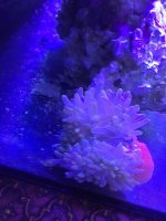 IMG_7202.jpg
