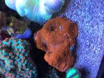 IMG_1732.jpg