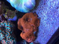 IMG_1733.jpg