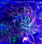 IMG_0011.jpg