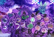 20171229_101147.jpg