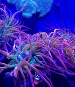 IMG_0012.jpg