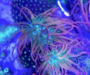 IMG_0013.jpg