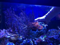 IMG_0880.jpg