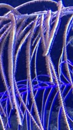 IMG_3321.jpg