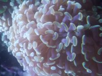 20170911_160532.jpg