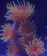 IMG_0296.jpg