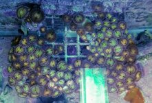 20170714_143806~2.jpg