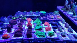 20180319_151355-01.jpg